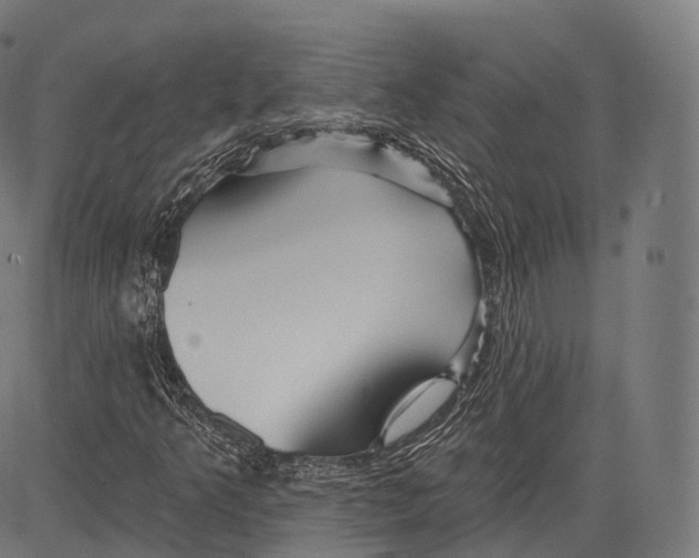 X0000083611349200703121552