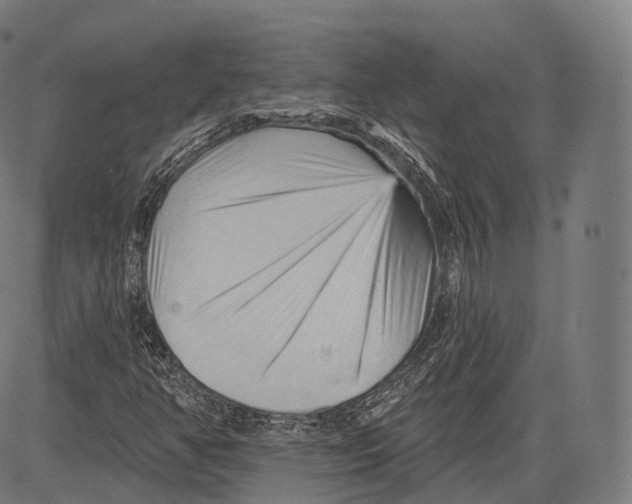 X0000083611350200703121552