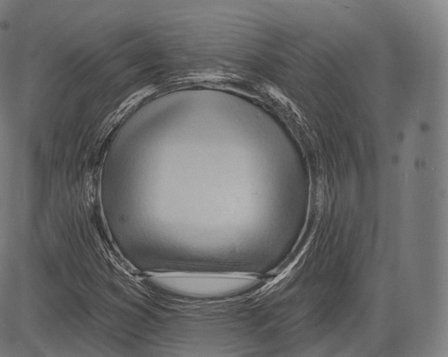 X0000083611353200703121552