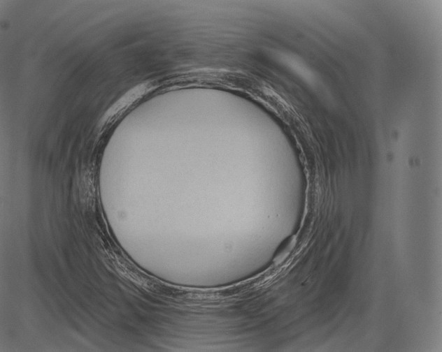 X0000083611354200703121552