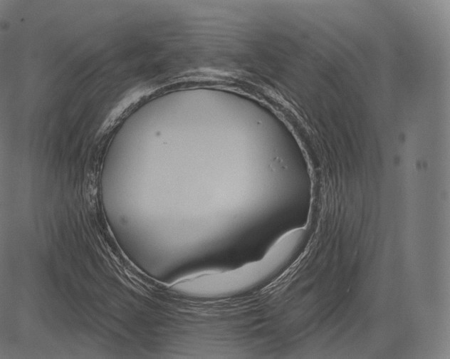 X0000083611355200703121552