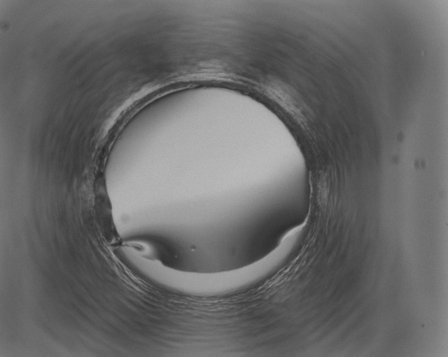 X0000083611356200703121552