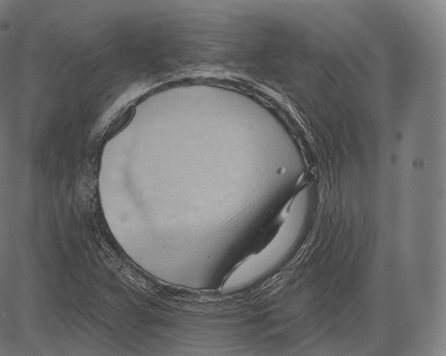 X0000083611359200703121552