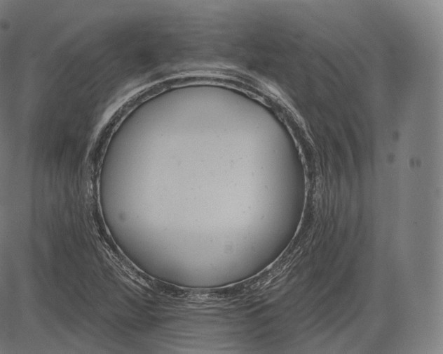 X0000083611360200703121552