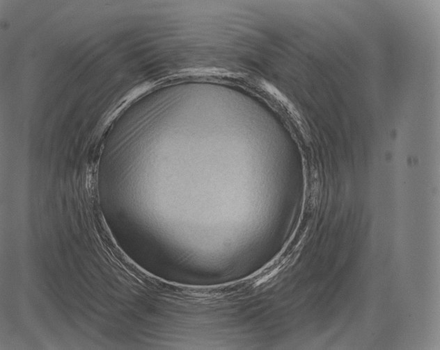 X0000083611361200703121552