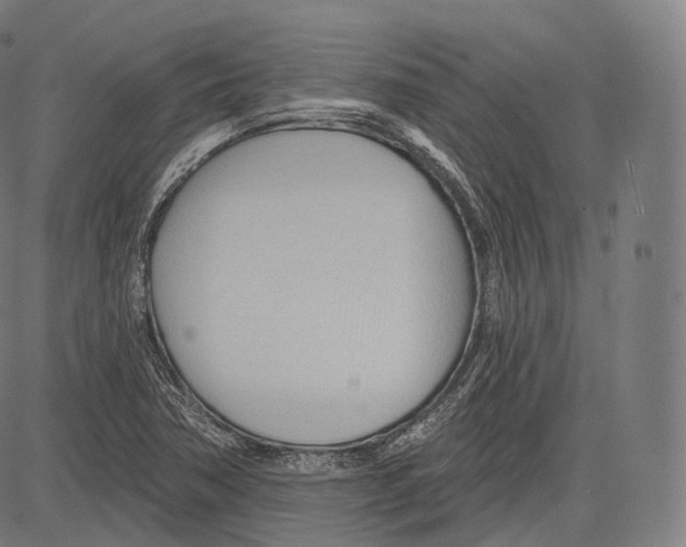 X0000083611362200703121552