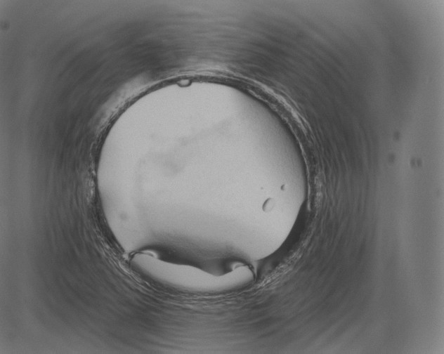 X0000083611363200703121552