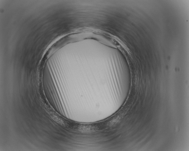 X0000083611364200703121552