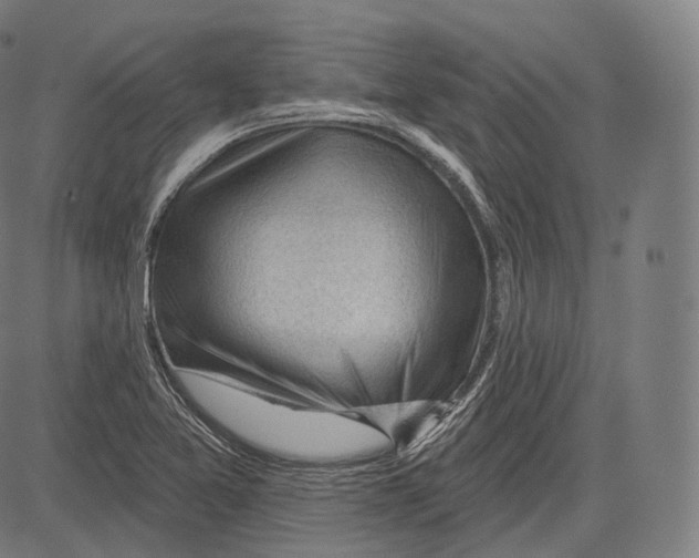 X0000083611365200703121552