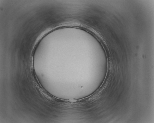 X0000083611366200703121552