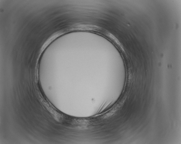 X0000083611370200703121551