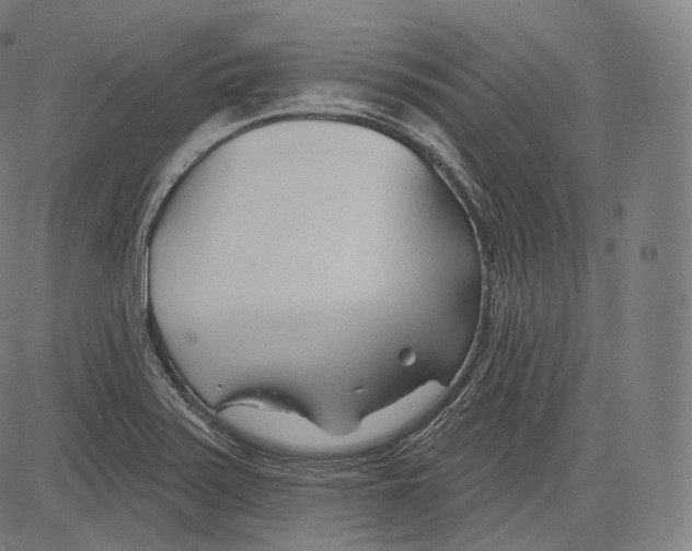 X0000083611371200703121551