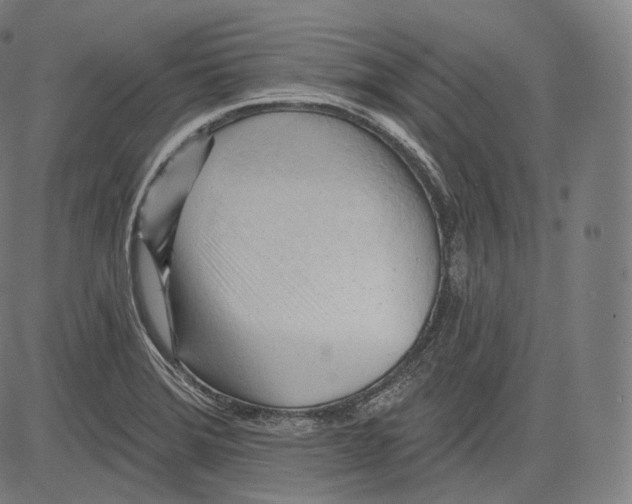 X0000083611372200703121551