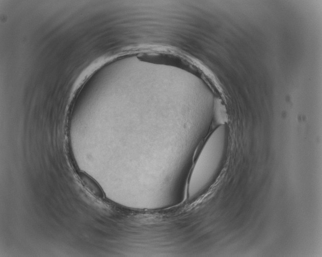 X0000083611373200703121551