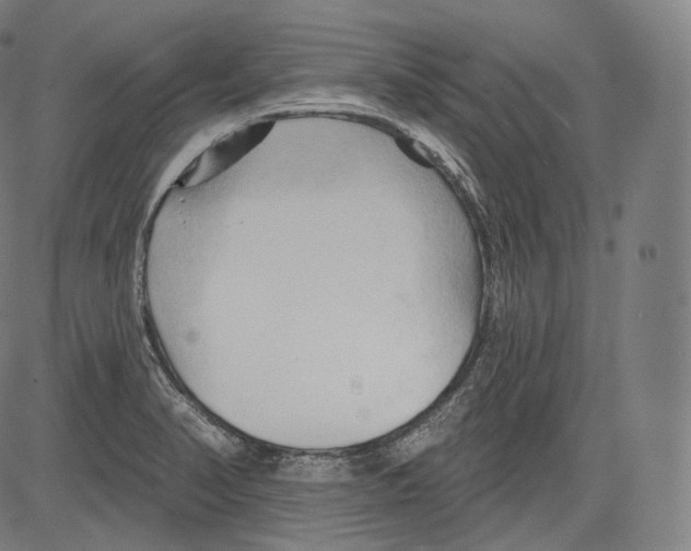 X0000083611374200703121551