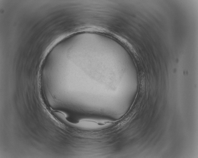 X0000083611375200703121551