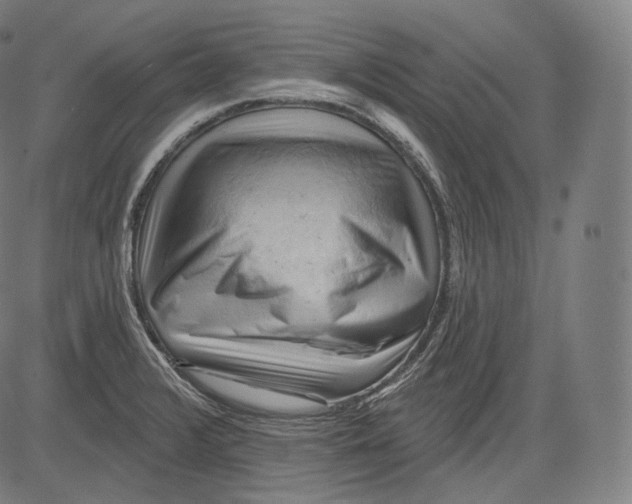 X0000083611376200703121551