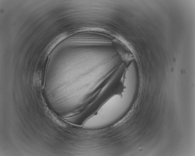 X0000083611377200703121551