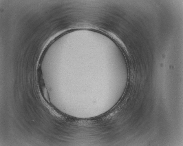 X0000083611380200703121551