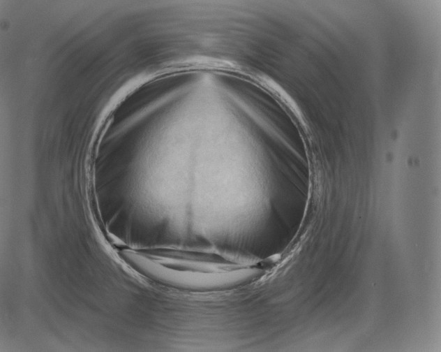 X0000083611381200703121551