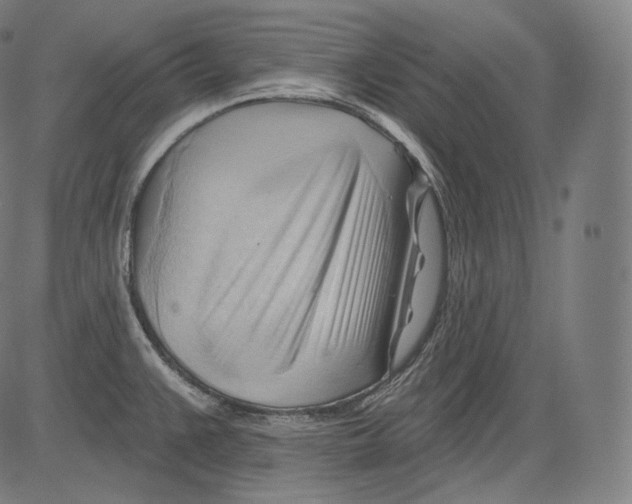 X0000083611383200703121551