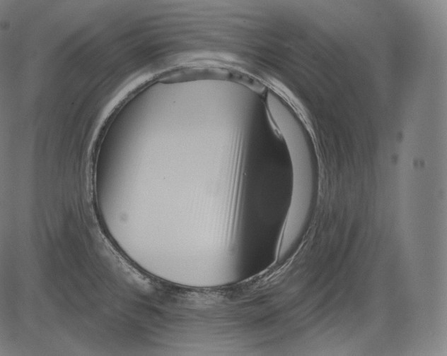 X0000083611384200703121551