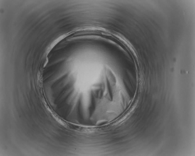 X0000083611385200703121551