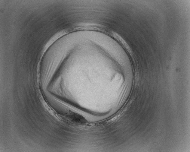 X0000083611386200703121551