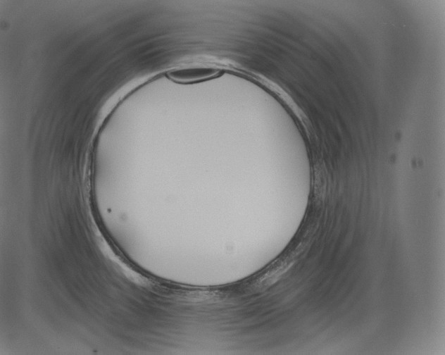 X0000083611387200703121551