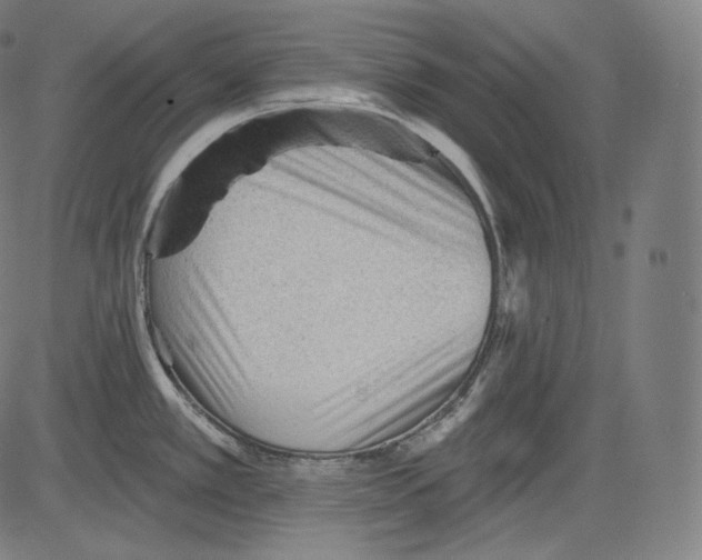 X0000083611389200703121551