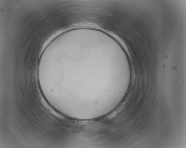 X0000083611390200703121551