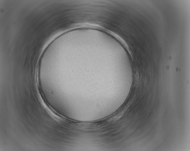 X0000083611391200703121551