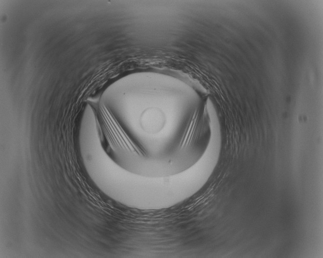 X0000083611393200703121550