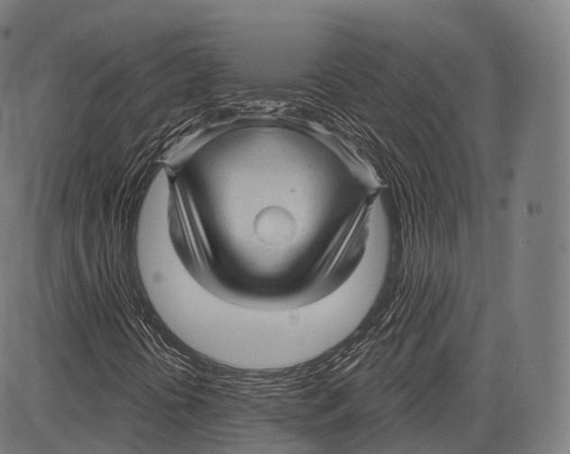 X0000083611394200703121550