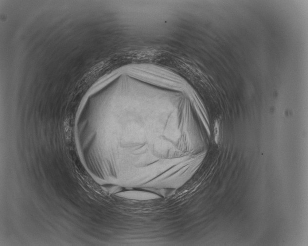 X0000083611395200703121550