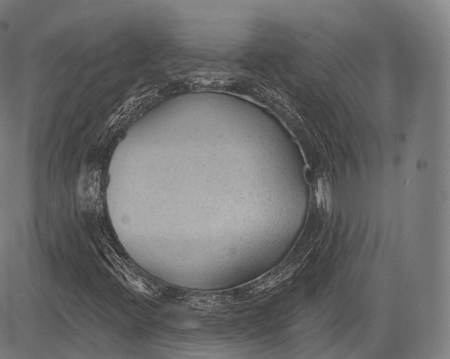 X0000083611396200703121550