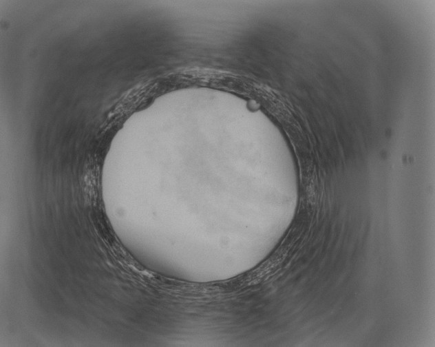 X0000083611397200703121550