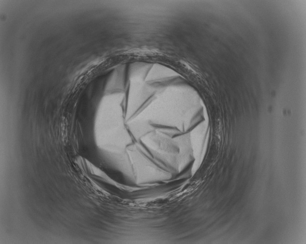 X0000083611398200703121550