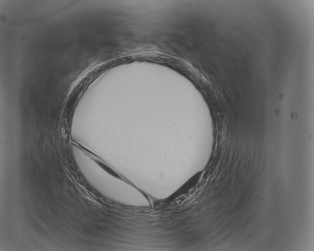 X0000083611400200703121550