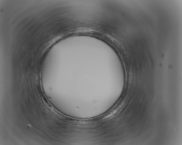 X0000083611401200703121550