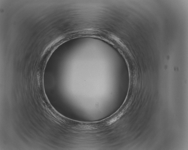 X0000083611402200703121550