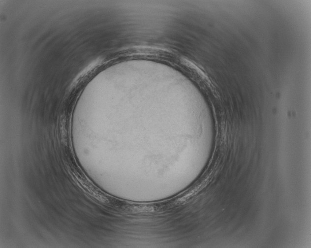 X0000083611403200703121550