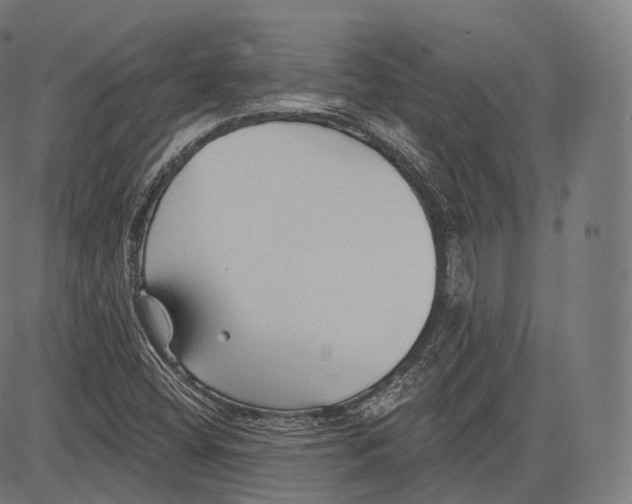 X0000083611404200703121550