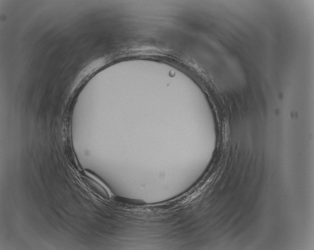 X0000083611405200703121551