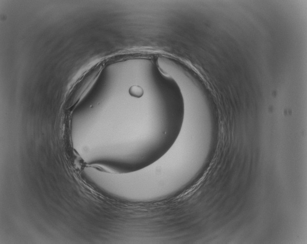 X0000083611406200703121551