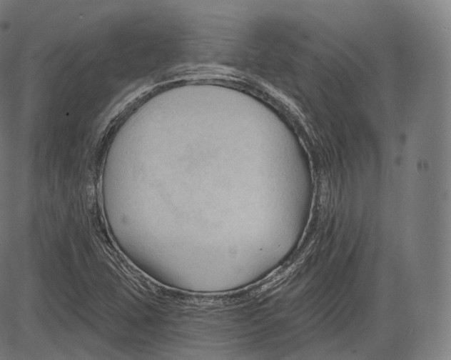 X0000083611407200703121551