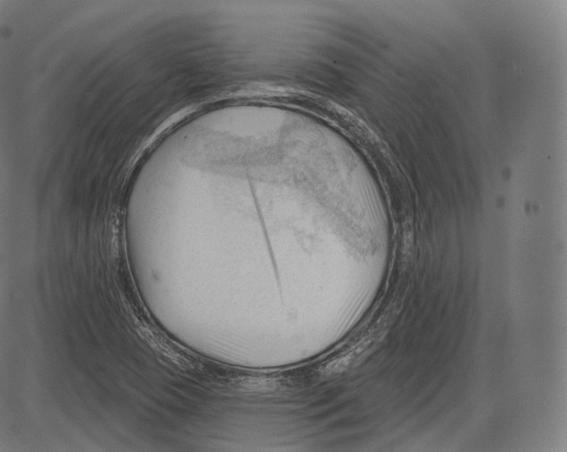 X0000083611409200703121551