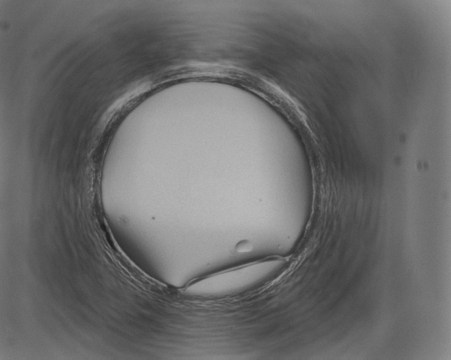 X0000083611411200703121551