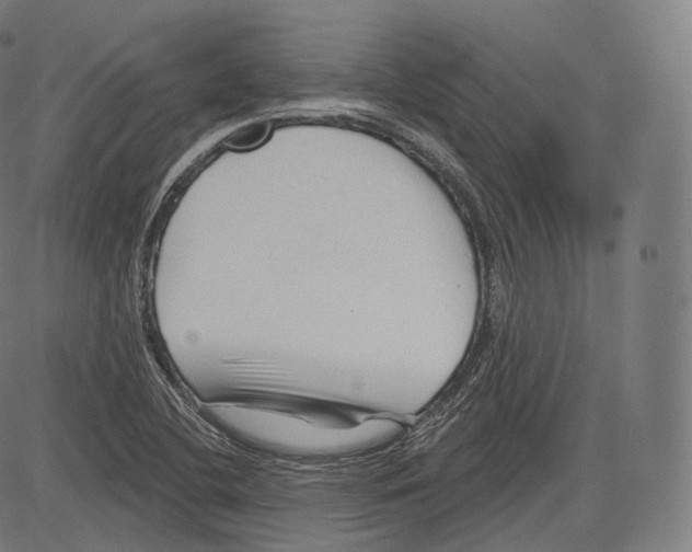 X0000083611412200703121551