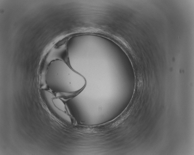 X0000083611414200703121551